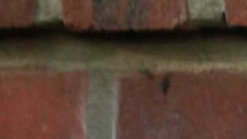 Un nuevo comienzo, la Mariela Lombard/El Diario Nueva York
del Fiscal de Districto de Manhattan, donde ofrece a suprimir citaciones menores.
Foto Credito: Mariela Lombard / El Diario.