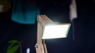 ¿Es posible fabricar una lámpara a partir de una planta?