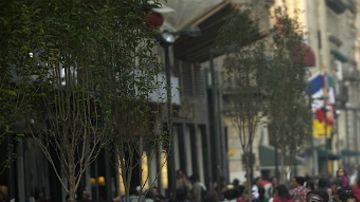 151111234742_mexico_calles