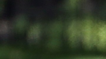 Familiares brindan flores a sus seres queridos en el Cementerio de Veteranos de Westwood.