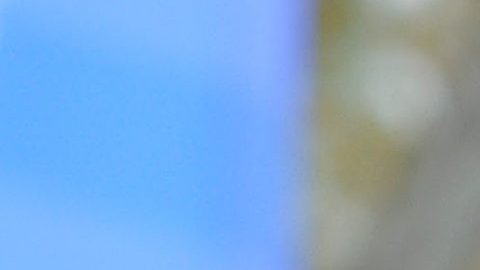 Mary Keitany y Stanley Biwott, ambos de Kenia, posan como ganadores de la 45 edición del maratón de Nueva York.