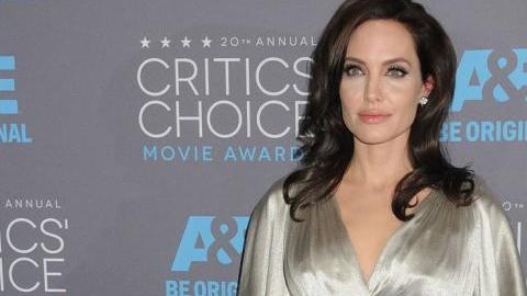 Ahora la prioridad de Angelina es pasar tiempo con su marido y sus hijos.