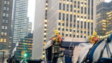 De Blasio está abogando por un plan para reducir el número de carruajes con caballos en Central Park a 70, en vez de prohibirlos del todo.