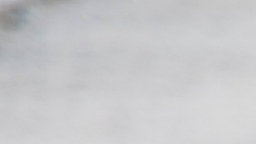 Este fin de semana es tu cita con la última entrega de 'The Hunger Games', 'Mockingjay Part II'.