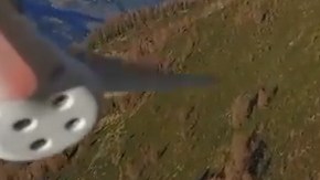 Las águilas se llevan el drone a tierra y su piloto a remoto no pudo evitarlo.