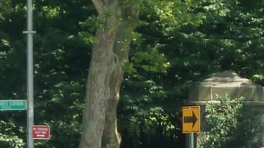 Parque en el alto Manhattan en donde una madre fue robada y atacada mientras lactaba.
