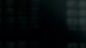 Los abogados del cantante aseguran que no existe ninguna orden judicial en su contra.