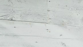 La actriz está muy orgullosa de sus raíces latinas.