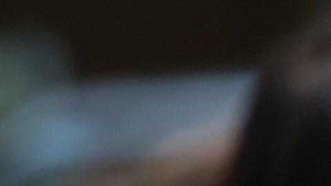 Naturalization Ceremony Held In Chicago's Daley Plaza