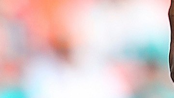 Imagen del último partido que Rex Ryan dirigió como entrenador de los Jets, el pasado 28 de diciembre en un triunfo sobre Miami.