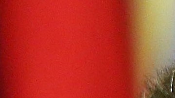 Nicolás Maduro, presidentre de Venezuela.