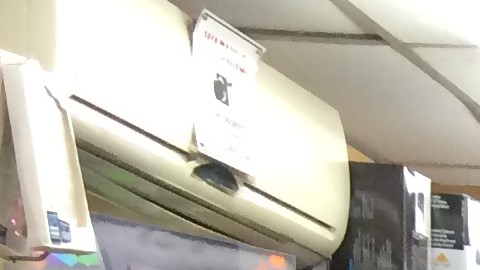 La tienda MX Elextronics intentó competir con las ofertas de las grandes tiendas.