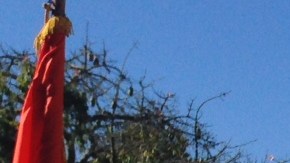 Ricardo "Ricky" Galvez, de 29 años, fue asesinado afuera de la Estación de Policía de Downey.