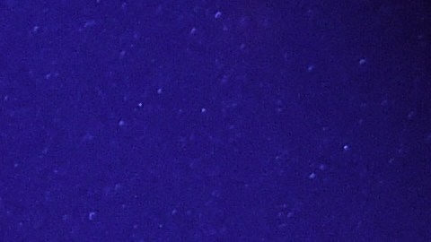 Jesse Hughes (izq.) y Josh Homme de la banda Eagles of Death Metal en un concierto reciente en Los Ángeles.