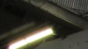 México fue escogido "Destino Culinario del Año" en uno de los festivales gastronómicos más importantes del país./Cortesía