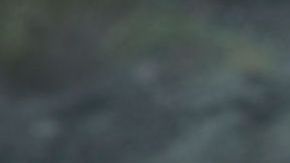 Liam Neeson en una escena de 'Silence', que se estrenará el año que viene.