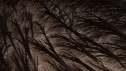 Los adultos jóvenes tienen una serie de retos de partida distintos a los de generaciones anteriores./Shutterstock