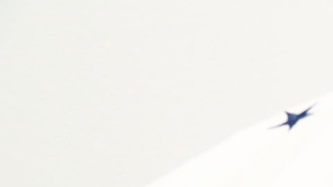 Recuerda emitir tu voto.