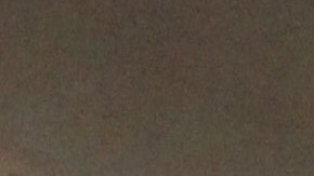 La MTA contrató a 46 agentes policiales para contraterrorismo en Grand Central y Penn Station.