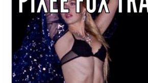 PixeeFoxTransformation