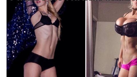 PixeeFoxTransformation