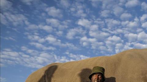 rinoceronte san diego california