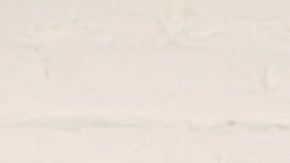 shutterstock_126660596