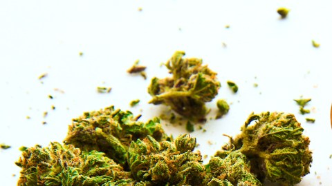 marihuana medicinal