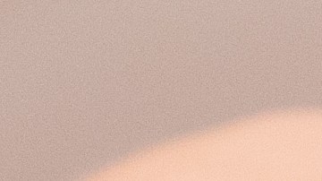 Aconsejan evitar tener reptiles y anfibios como mascotas cuando hay niños menores de 5 años.