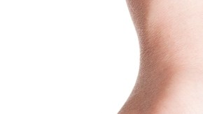 Los alimentos de soja contienen un componente conocido como isoflavonas cuya estructura es similar a la de los estrógenos.