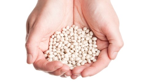 Los alimentos de soja contienen un componente conocido como isoflavonas cuya estructura es similar a la de los estrógenos.