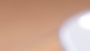 SuperMoistRoastedTurkey