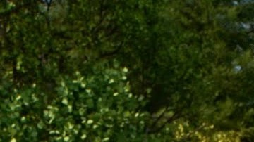 'The Good Dinosaur', el nuevo filme de Pixar, llega a los cines hoy miércoles.