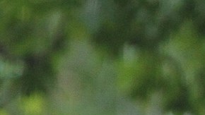 05-30-2015_001_SchoolStudents