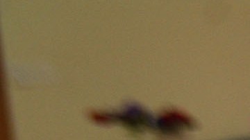 Alumnos de kinder, el primer nivel de escolaridad.