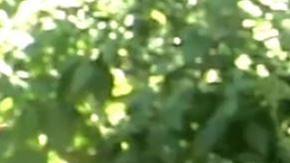 Gilbert Taylor dejó su cargo en el gobierno De Blasio.