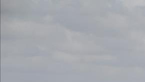 El avión tuvo que aterrizar de emergencia.