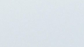 Los pasajeros fueron evacuados del avión de Spirit en La Guardia.