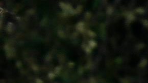 Destrozos causados por un tornado en Garland, Texas, el 28 de diciembre de 2015.