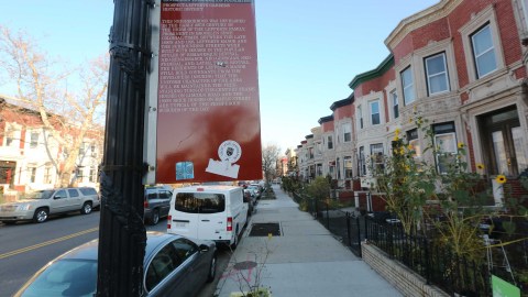 Nuestros Barrios
Prospect Lefferts Gardens in Brooklyn.
Foto Credito: Mariela Lombard / El Diario.