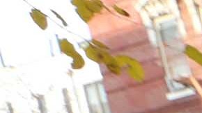 Jose Arbelo, 49, de Manhattan.El vive en una unidad con 2 personas y solo un baño para 12.
Foto Credito: Mariela Lombard / El Diario.