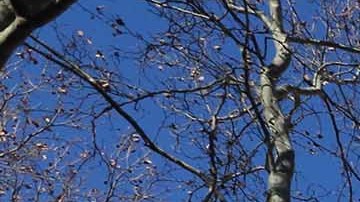 Edificio NYCHA en Harlem/Archivo.