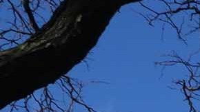 Edificio NYCHA en East Harlem/Archivo.