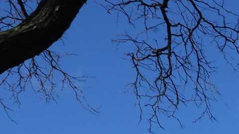 Edificio NYCHA en East Harlem/Archivo.