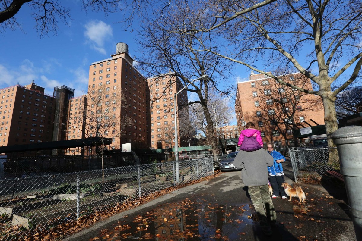 Mató a su hermana frente a la madre: sentencia por homicidio doméstico en Nueva York