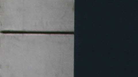 Sin casa y con perro en la Quinta Avenida de Manhattan.
Foto Credito: Mariela Lombard / El Diario.