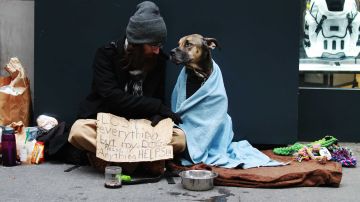 Sin casa y con perro en la Quinta Avenida de Manhattan.
Foto Credito: Mariela Lombard / El Diario.