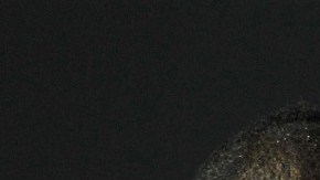 Casi se arman los golpes entre Quintero y Sambueza.