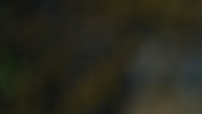 Gignac abrió la masacre.