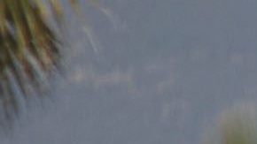 Musulmanos salen de la mezquita Dar Al Uloom Al Islamiyah en San Bernardino, California, donde asistia el atacante del Inland Regional Center, Syed Farook. /EFE